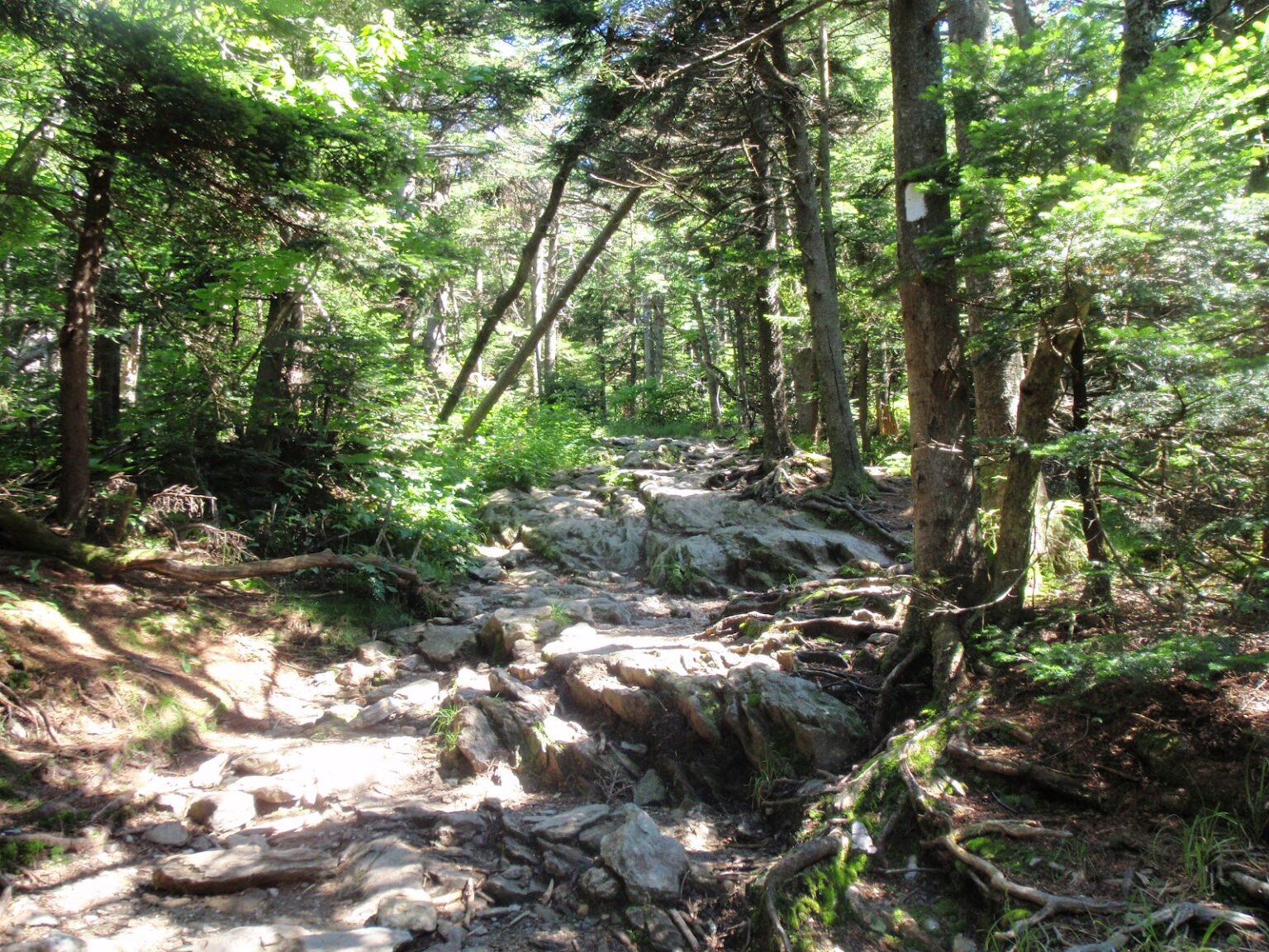 Trails Explore Adams