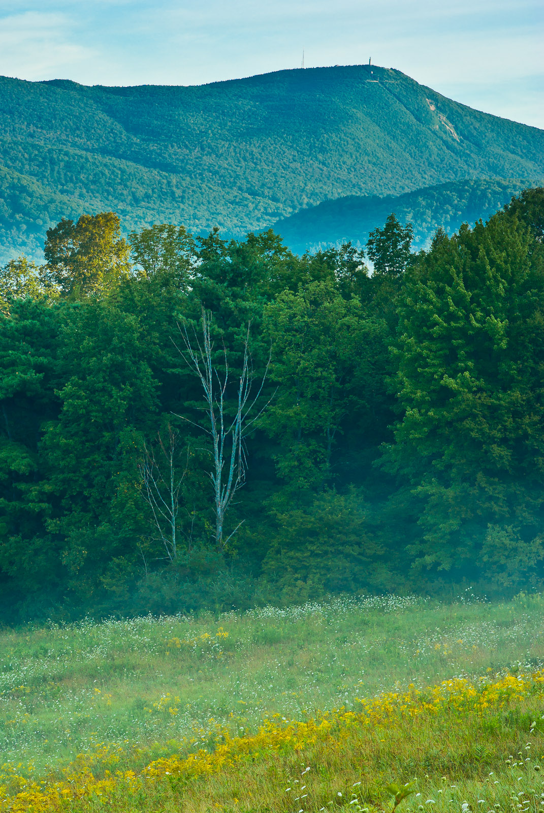 Mount Greylock Explore Adams