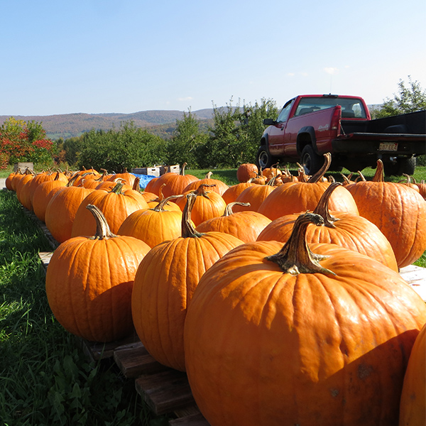 Shopping & Services Explore Adams